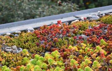 the cost of King Street green roof installation