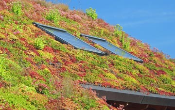 King Street living roof systems