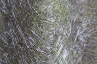 King Street fibreglass roof work